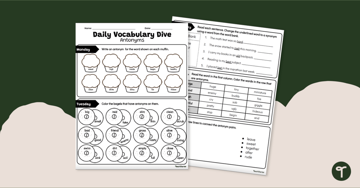 Daily Vocabulary Dive - Antonyms Worksheet teaching resource