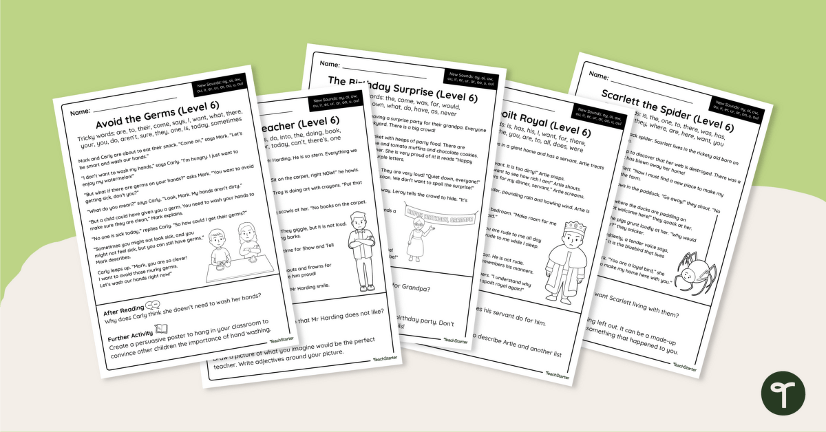 Level 6 Decodable Readers - Worksheet Pack teaching resource