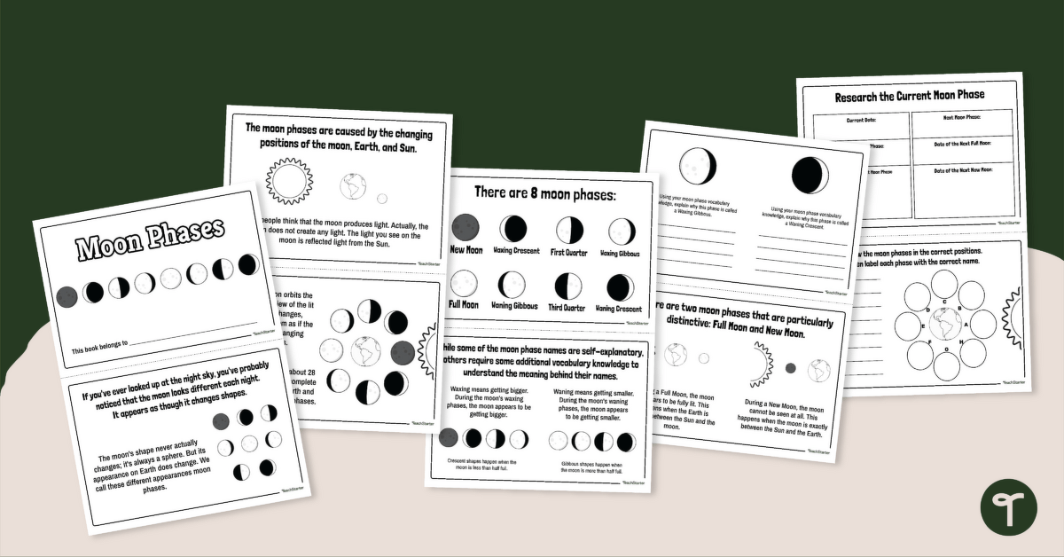 Moon Phases Mini-Book teaching resource