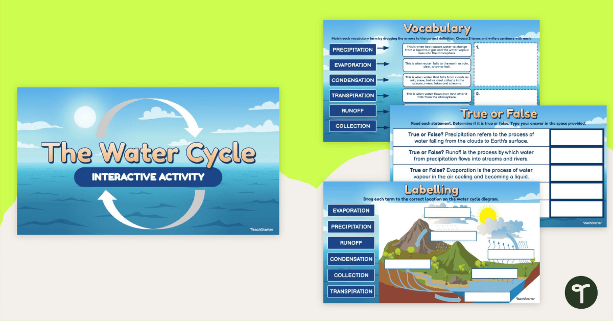 The Water Cycle – Interactive Activity teaching resource