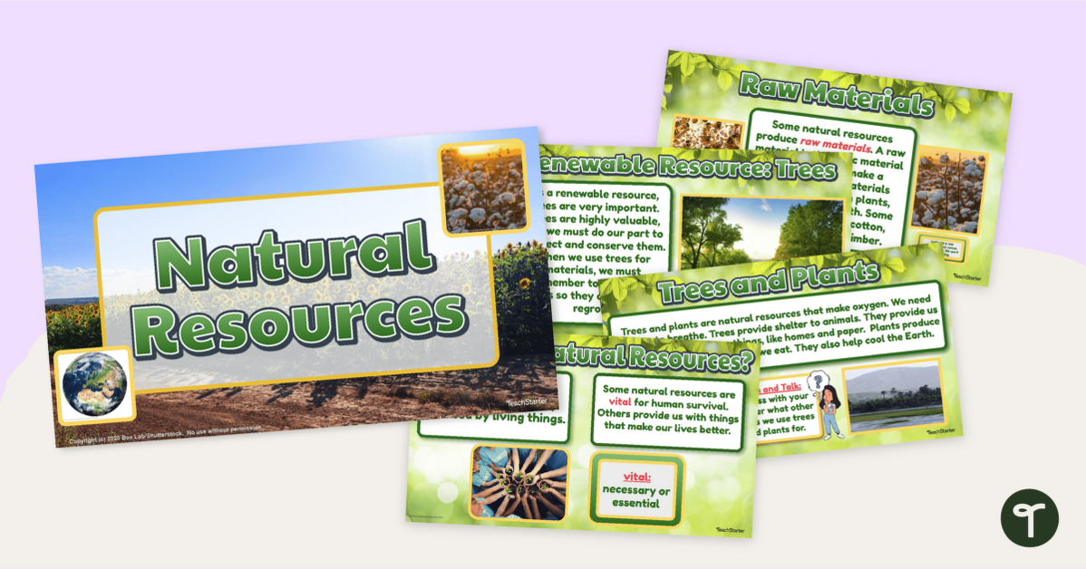 What Are Natural Resources? PowerPoint teaching resource