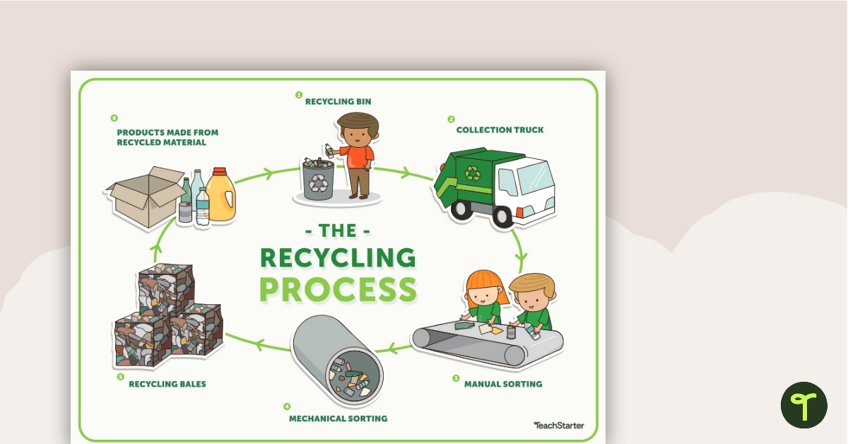 The Recycling Process Poster teaching resource