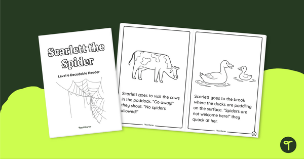 Go to The Homeless Spider - Decodable Reader (Level 6) teaching resource