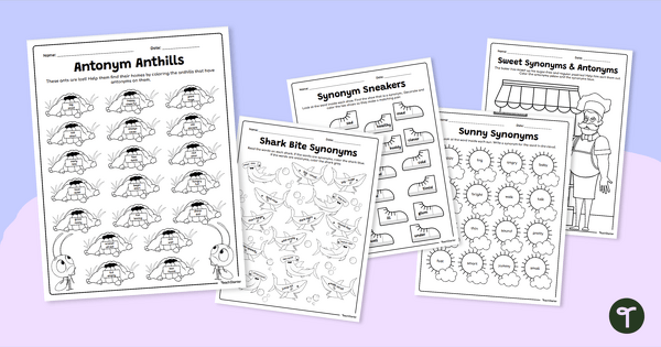 Synonyms and Antonyms - Poster Bookmark Worksheet - Grammar with Long A  Phonics