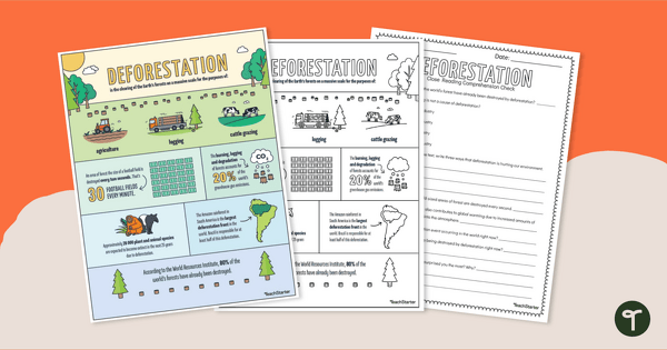 Go to Deforestation Infographic Comprehension Activity teaching resource