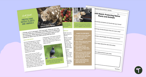 Earth Watch: Protecting Native Plants and Animals – Comprehension Worksheet teaching resource