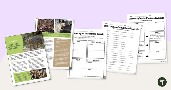 Protecting Native Plants and Animals – Comprehension Worksheets teaching resource