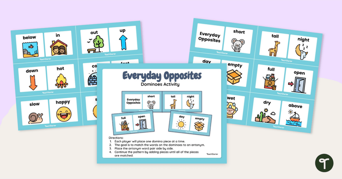Everyday Opposites - Antonyms Game teaching resource
