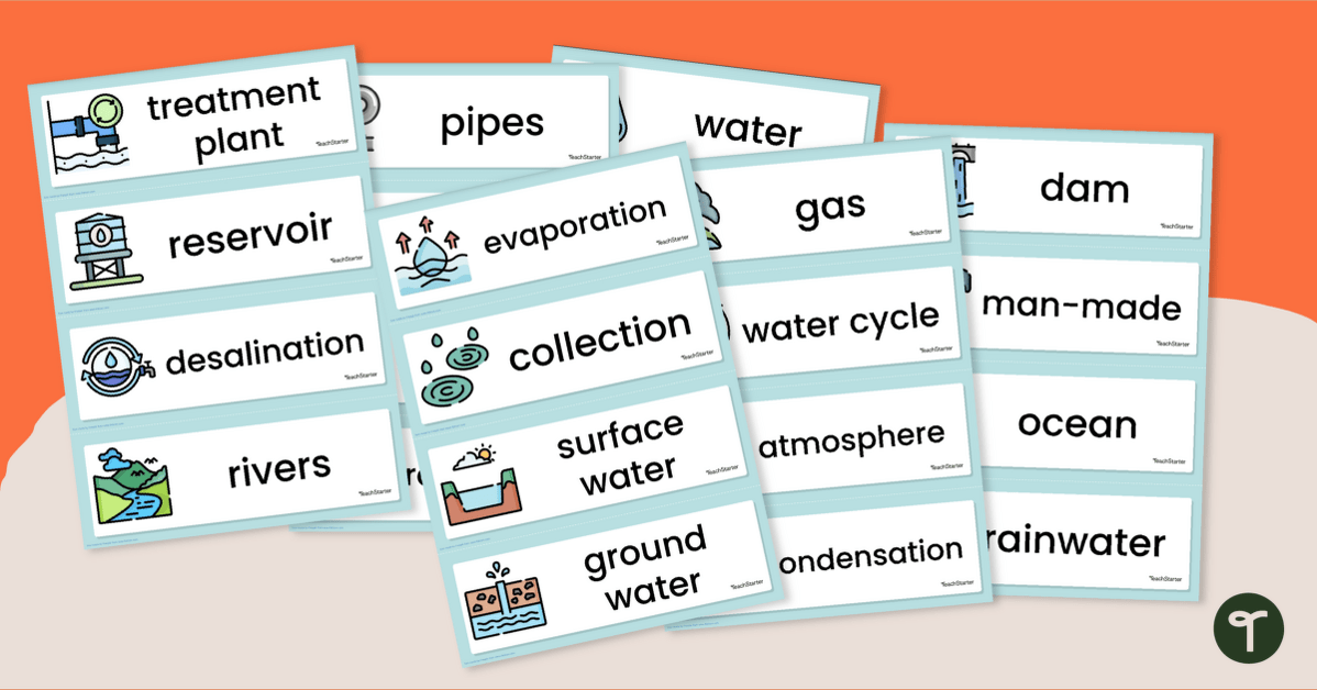 Water Cycle Words - Illustrated Word Wall teaching resource
