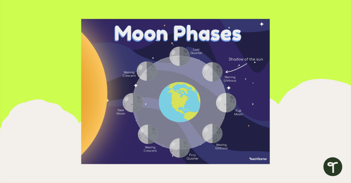 Moon Phases Diagram teaching resource