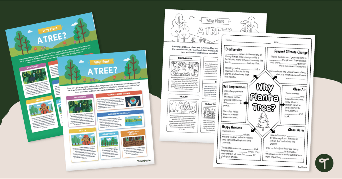 Why Plant a Tree? Infographic Analysis Activity & Posters teaching resource
