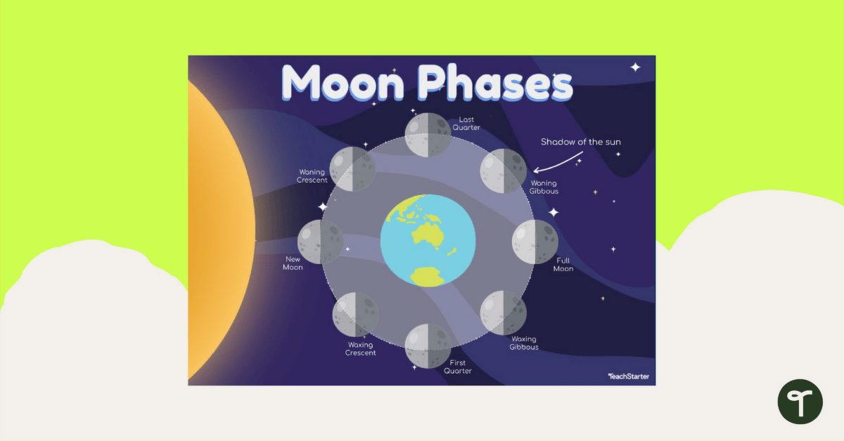 Moon Phases Diagram teaching resource