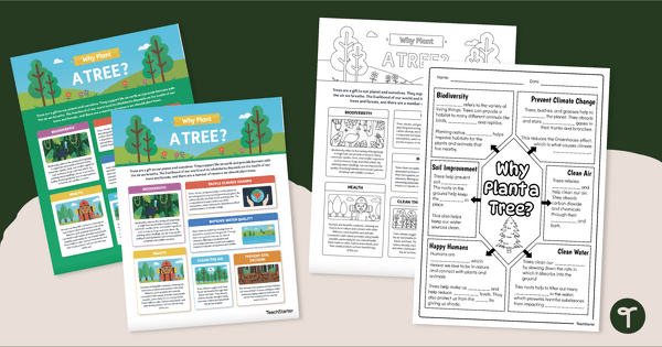 National Tree Day – Why Plant a Tree? Infographic Analysis Activity teaching resource