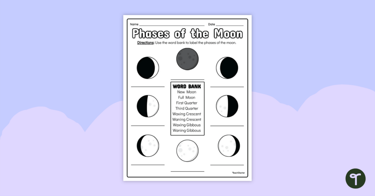 Phases of the Moon – Worksheet teaching resource