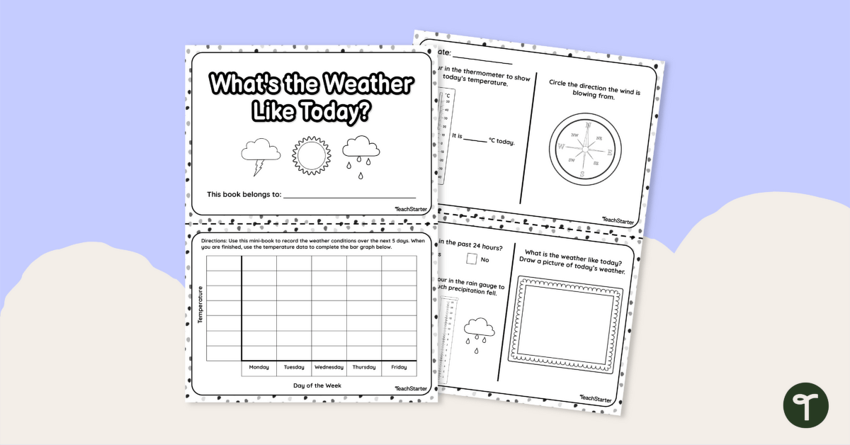 What's the Weather Like Today? – Mini-Book teaching resource