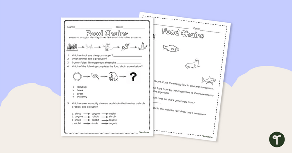 Go to Food Chains – Worksheet teaching resource