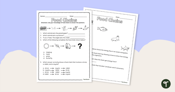 Image of Food Chains – Worksheet