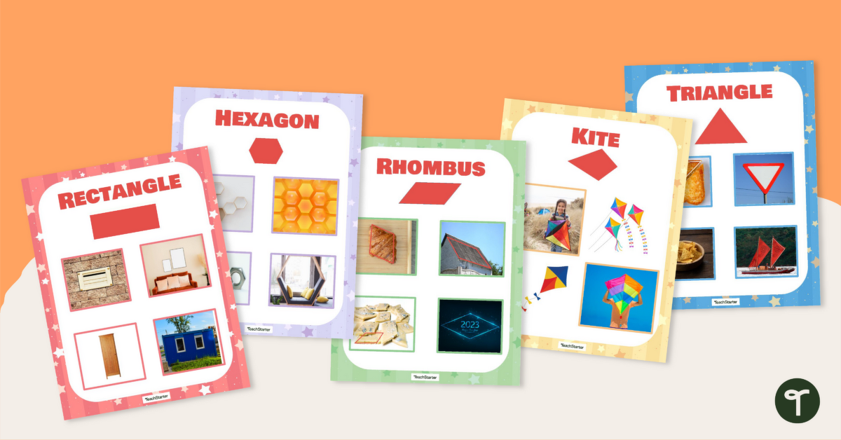 2D Shapes in the Environment Poster Pack teaching resource