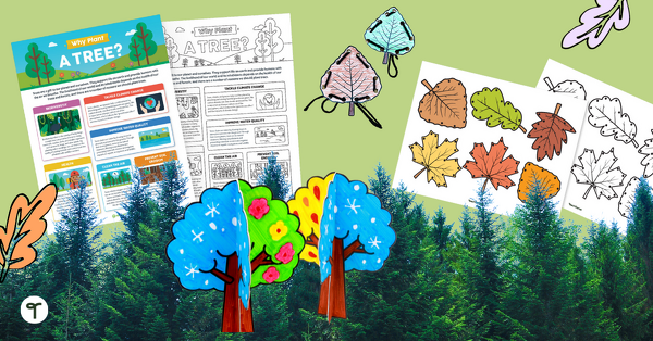 Go to 17 Activities for Arbor Day to Celebrate Trees in Elementary School blog