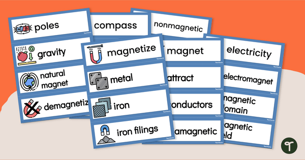 Go to Magnets Word Wall Vocabulary teaching resource