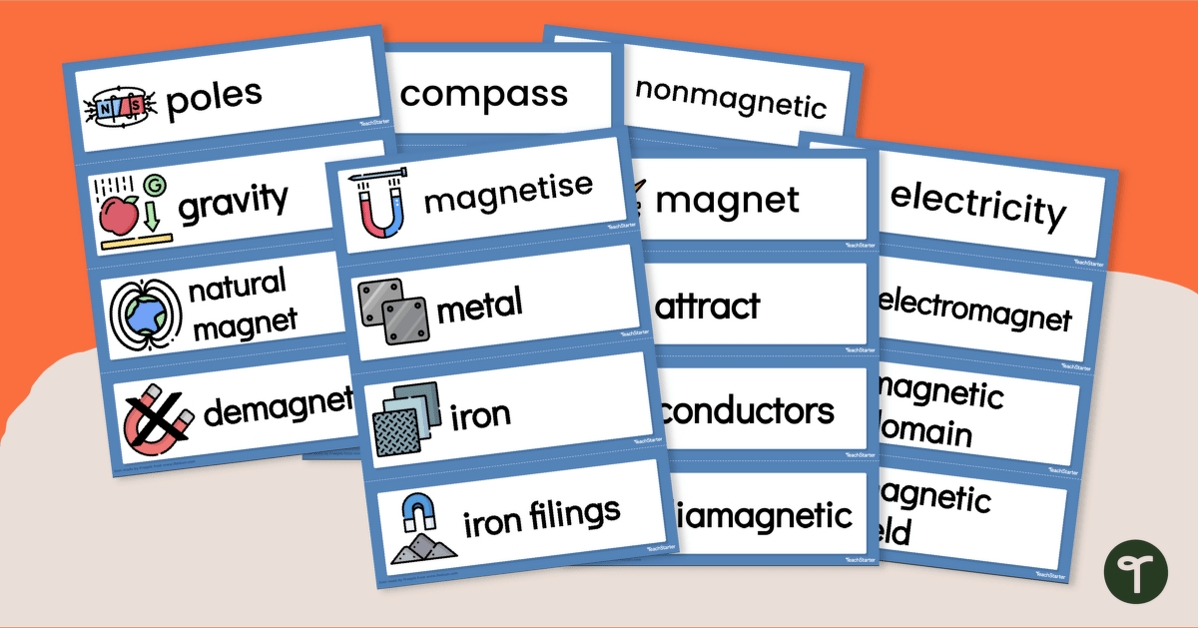 Magnets Word Wall Vocabulary teaching resource
