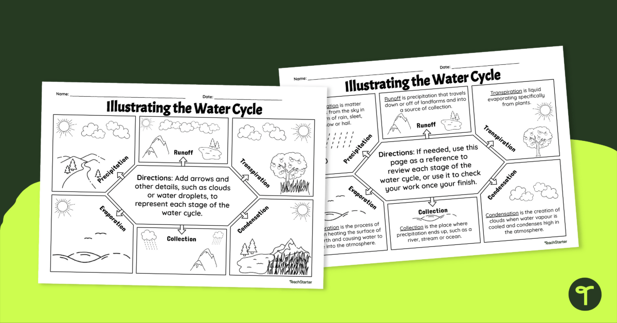 Illustrating the Water Cycle Template teaching resource