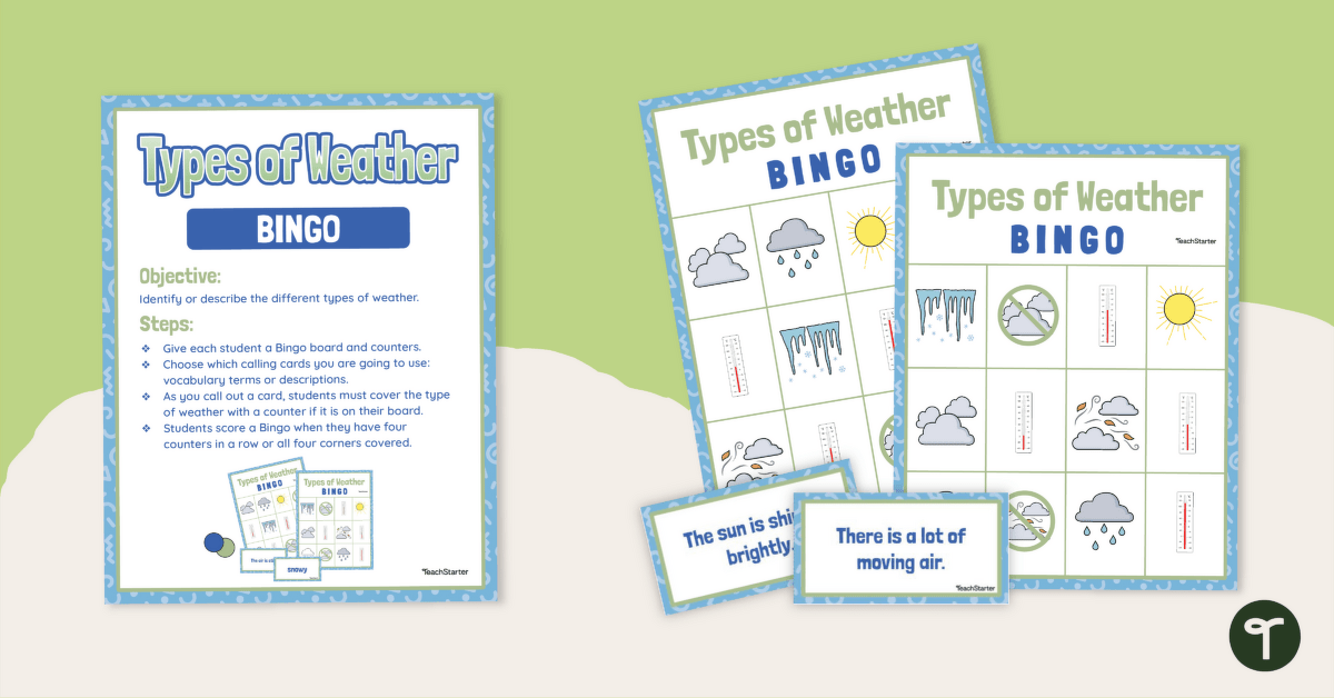 Types of Weather Bingo teaching resource