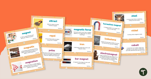 Magnetism Vocabulary Cards teaching resource