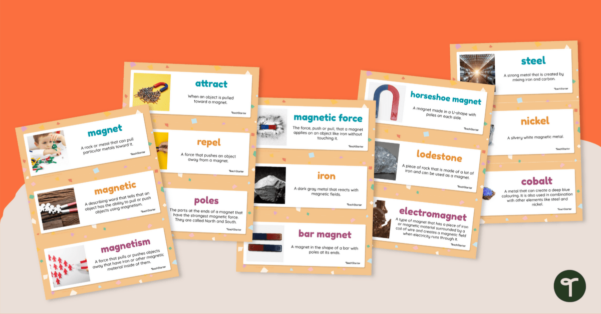 Magnetism Vocabulary Cards teaching resource