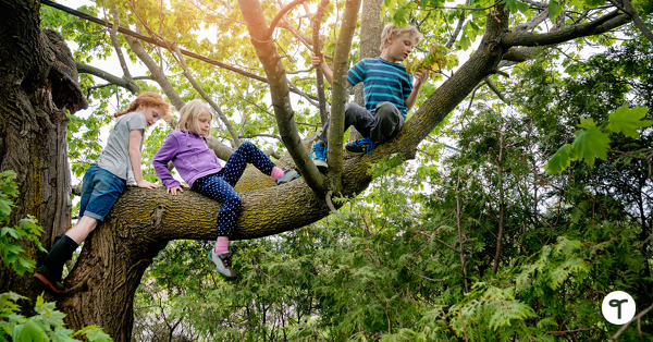 Go to 16 National Tree Day Ideas to Celebrate Trees in Primary School blog