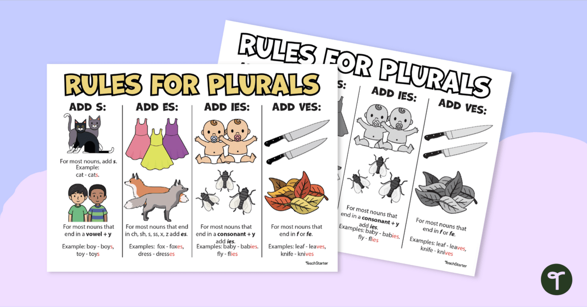 Plural Nouns Chart — Printable Plural Rules Guide teaching resource
