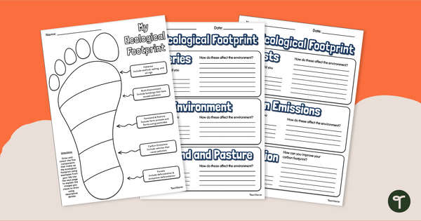 Ecological Footprint Draw and Write teaching resource