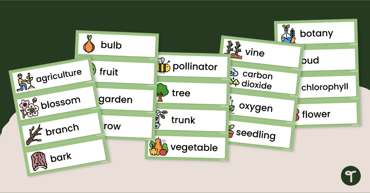 Plant Words - Illustrated Word Wall teaching resource