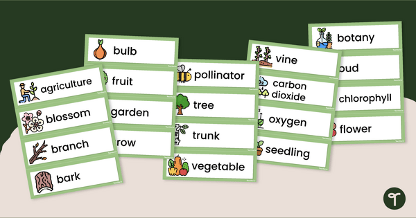 Go to Plant Words - Illustrated Word Wall teaching resource