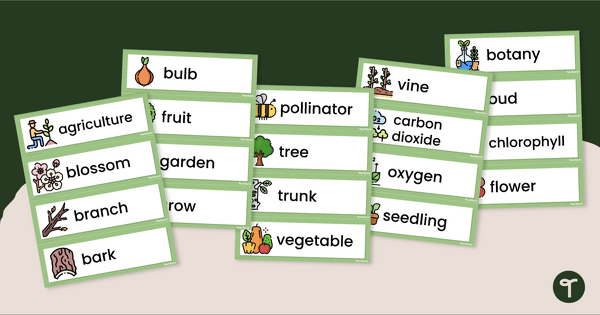 Partes das plantas - vídeo e jogo wordwall worksheet🥮 Descubra a emoção ...