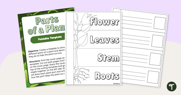 Go to Parts of a Plant Foldable - Lift-the-Flap Graphic Organiser teaching resource