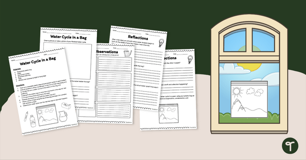 Image of Water Cycle in a Bag – Investigation Activity