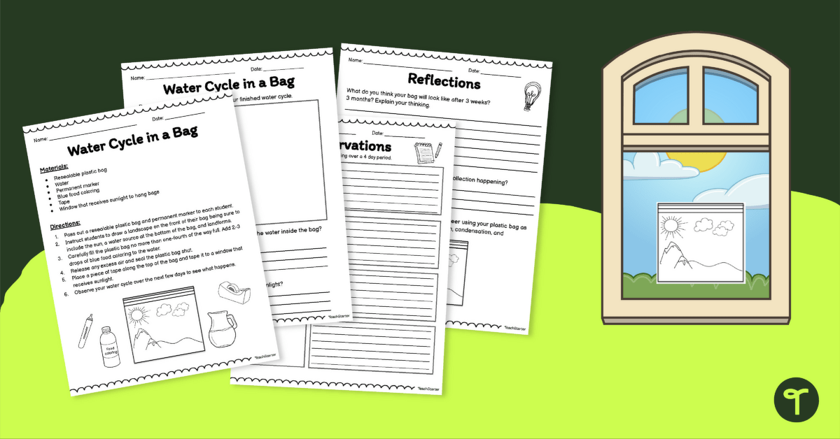 Water Cycle in a Bag – Investigation Activity teaching resource