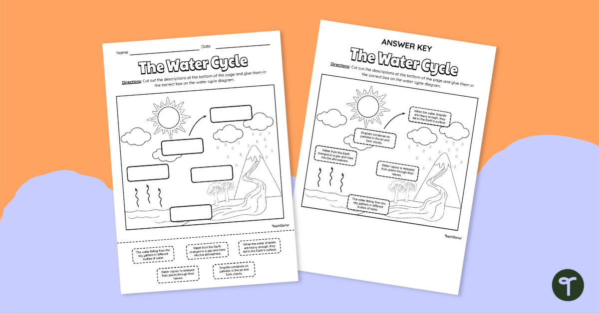 The Water Cycle - Cut and Paste Worksheet teaching resource