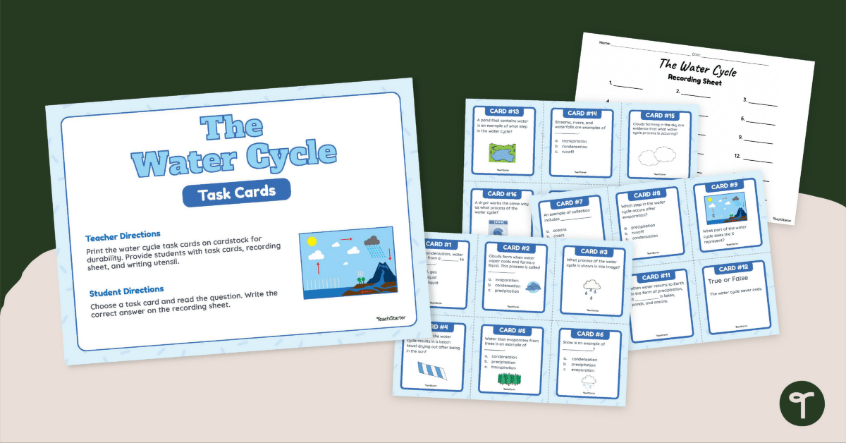 Water Cycle Task Cards teaching resource