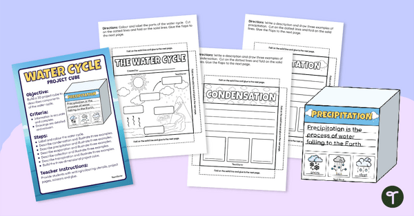 Water Cycle Interactive Clip Cards