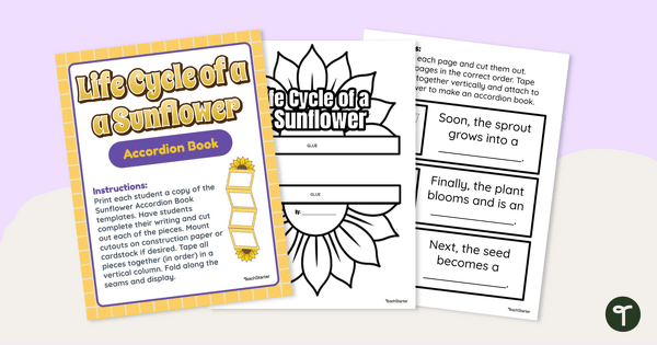 Life Cycle of a Sunflower Accordion Book teaching resource