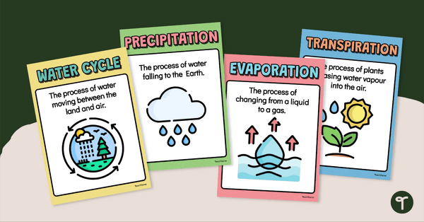 Water Cycle Poster Set teaching resource