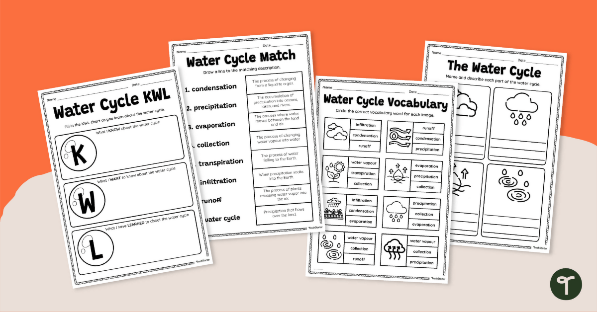 Water Cycle Worksheet Pack teaching resource