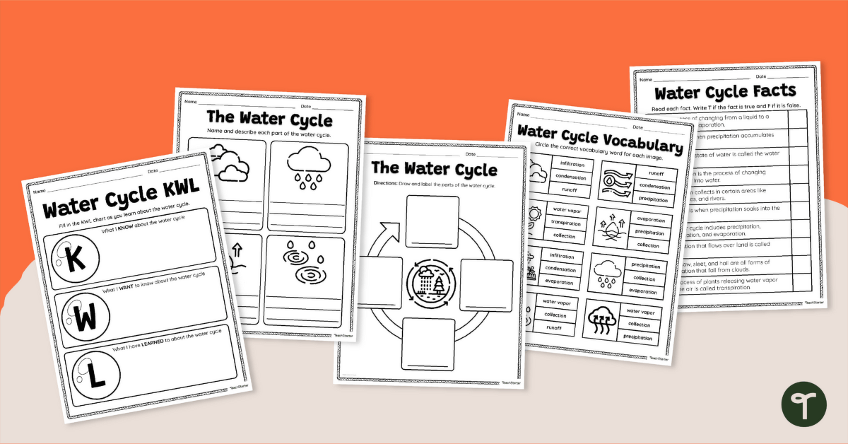 Water Cycle Worksheet Pack teaching resource