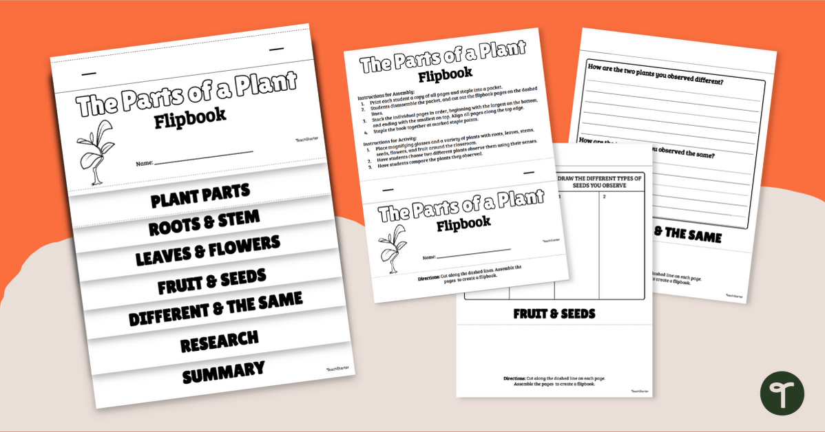 Parts of a Plant - Observation Flipbook teaching resource