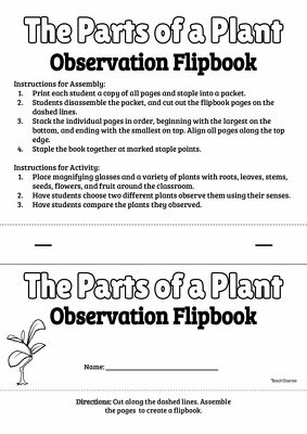 Parts of a Plant - Observation Flipbook teaching-resource