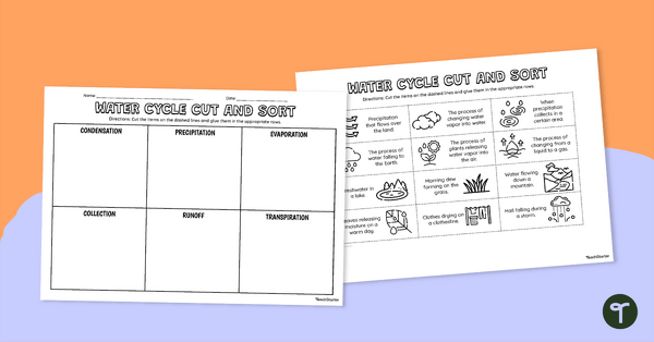 Go to Water Cycle Cut and Sort Activity teaching resource