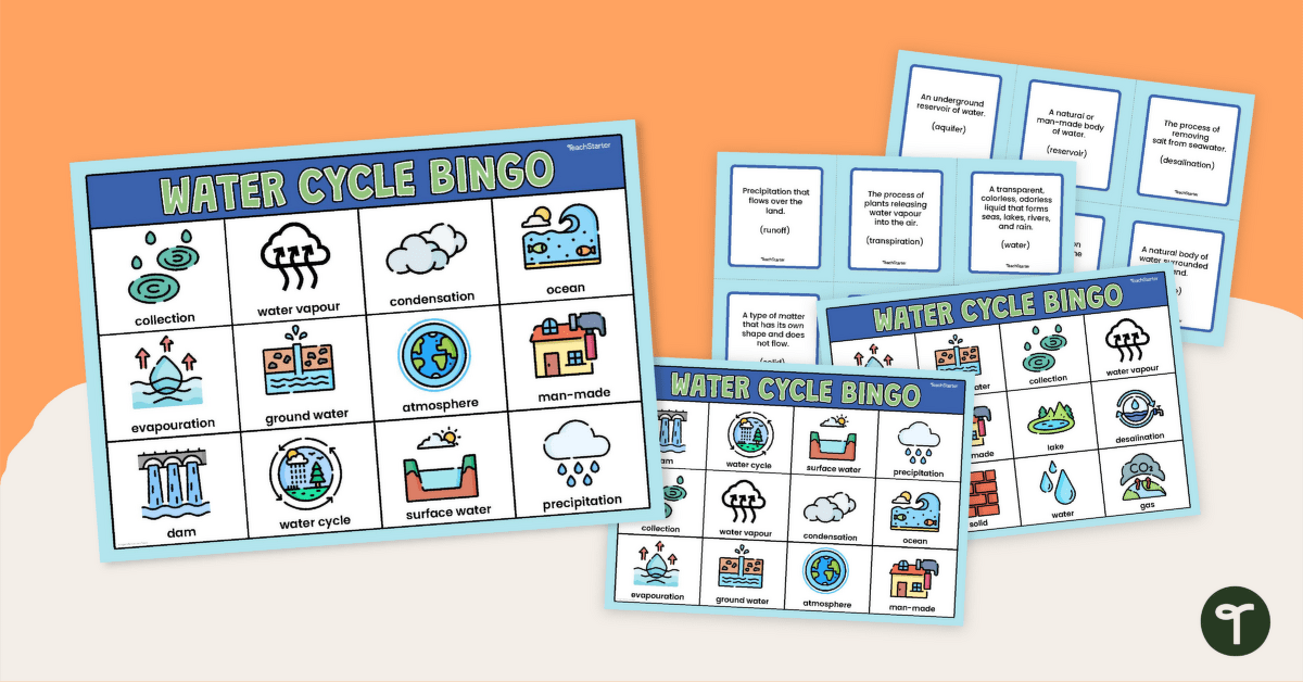 Water Cycle Bingo teaching resource