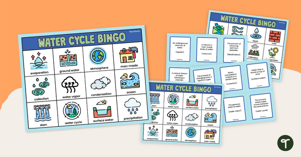 Water Cycle Bingo teaching resource